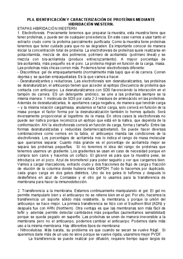 Miniatura del documento BEI-PR-4-teoria.pdf