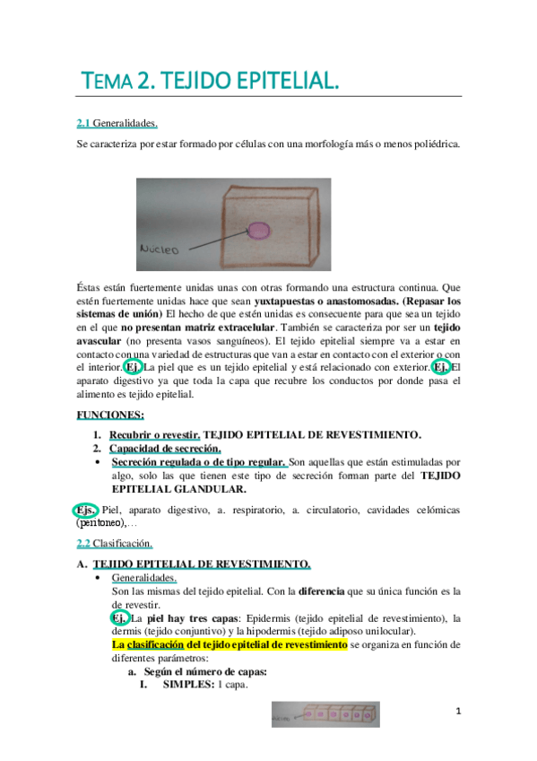 Miniatura del documento TEMA 2. WUOLAH DEFINITIVO.pdf