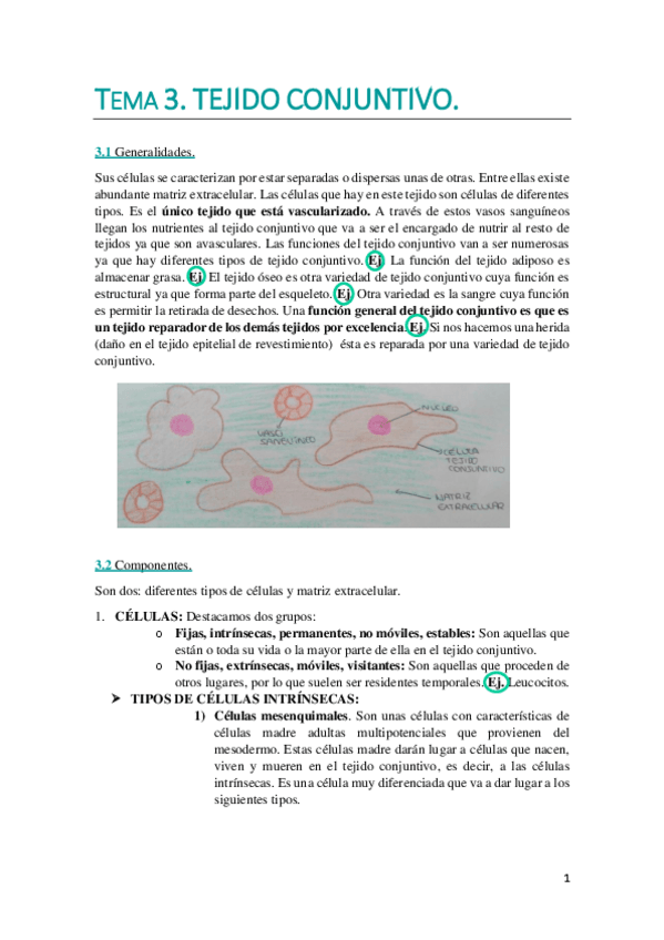 Miniatura del documento TEMA 3. WUOLAH DEFINITIVO.pdf