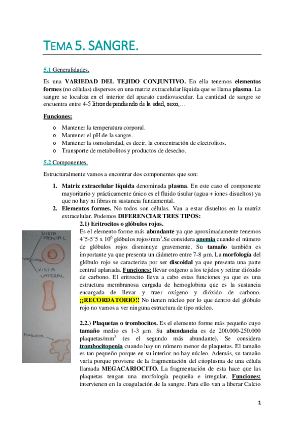 Miniatura del documento TEMA 5. WUOLAH DEFINITIVO.pdf