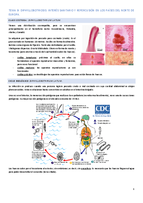 Miniatura del documento Tema-8.pdf