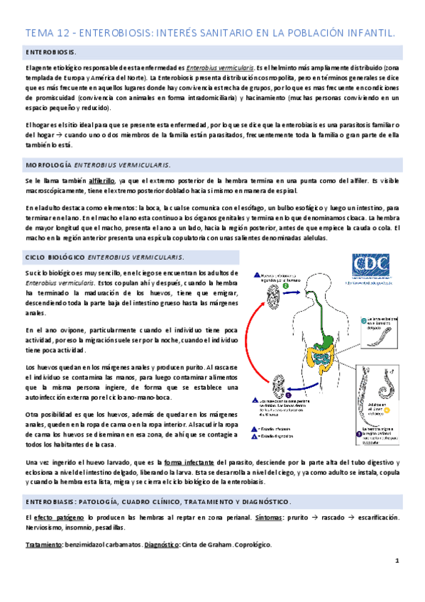 Miniatura del documento Tema-12.pdf