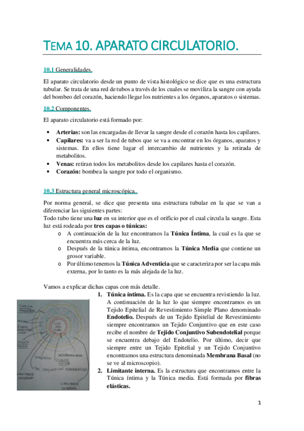 Miniatura del documento TEMA 1O. WUOLAH DEFINITIVO..pdf