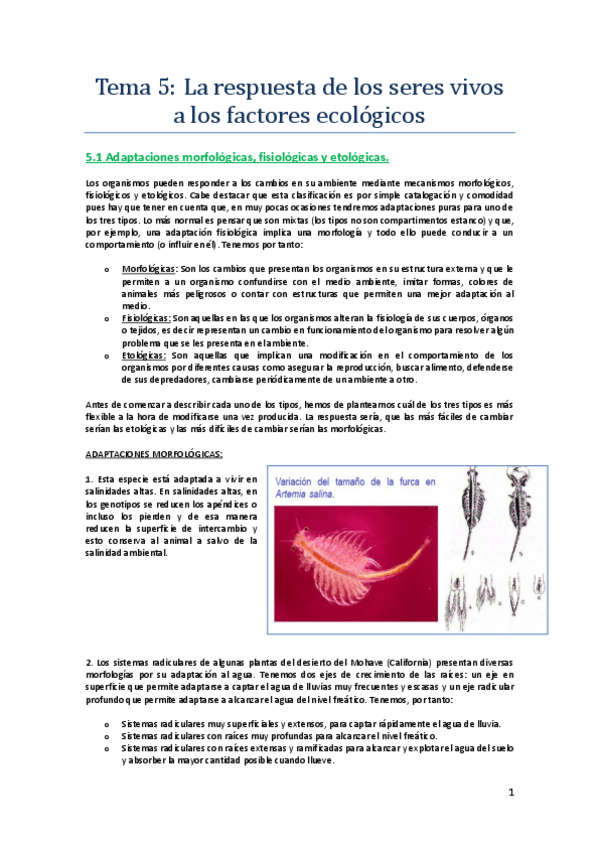 Miniatura del documento Ecotema5.pdf