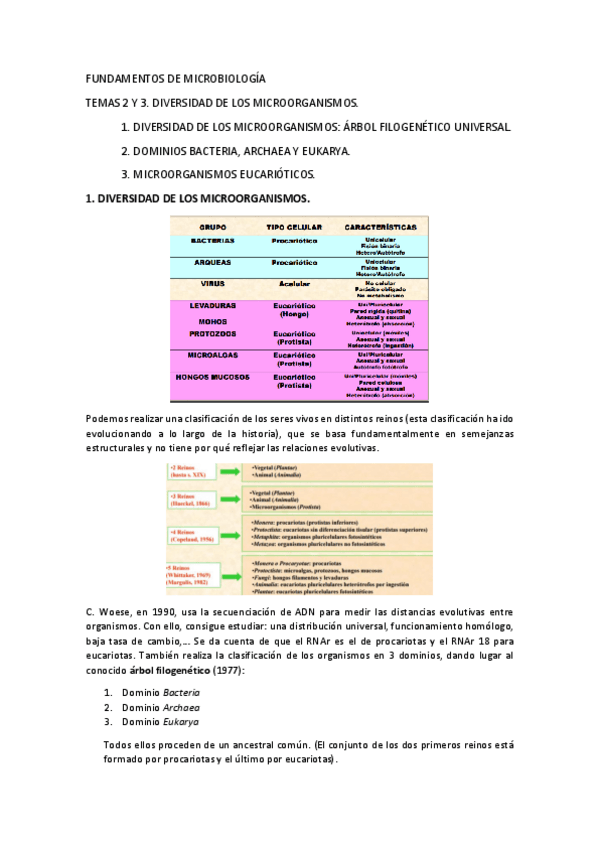 Miniatura del documento Tema 2 y 3.pdf