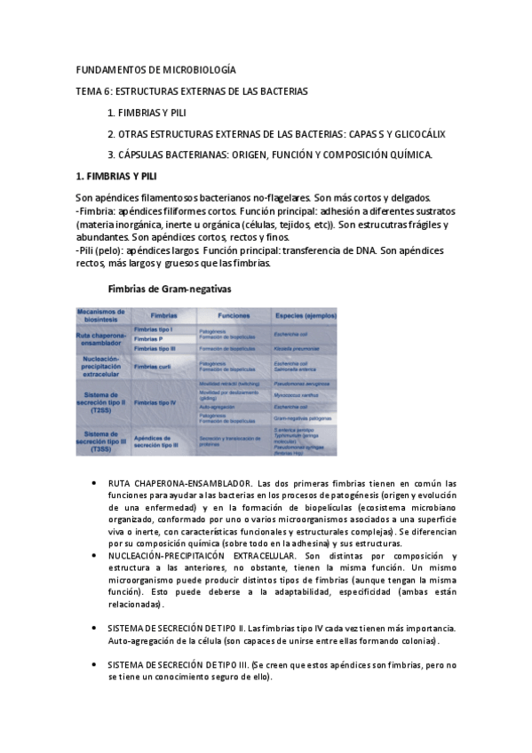 Miniatura del documento Tema 6.pdf