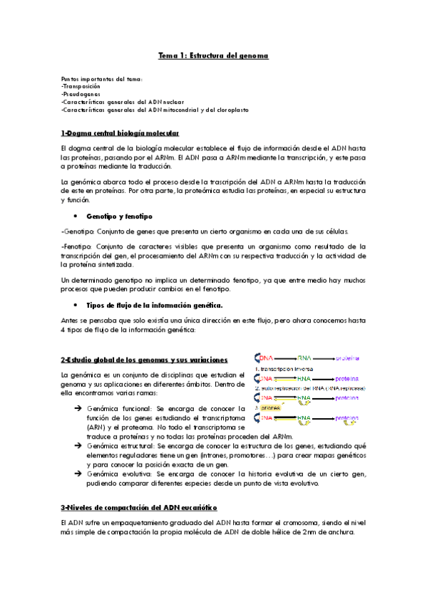 Miniatura del documento 1-estructura-del-genoma.pdf