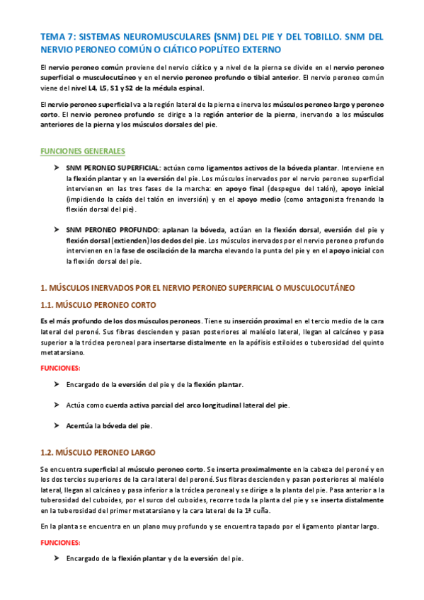 Miniatura del documento TEMA-ANATOMIA-ESPECIFICA-48-53.pdf