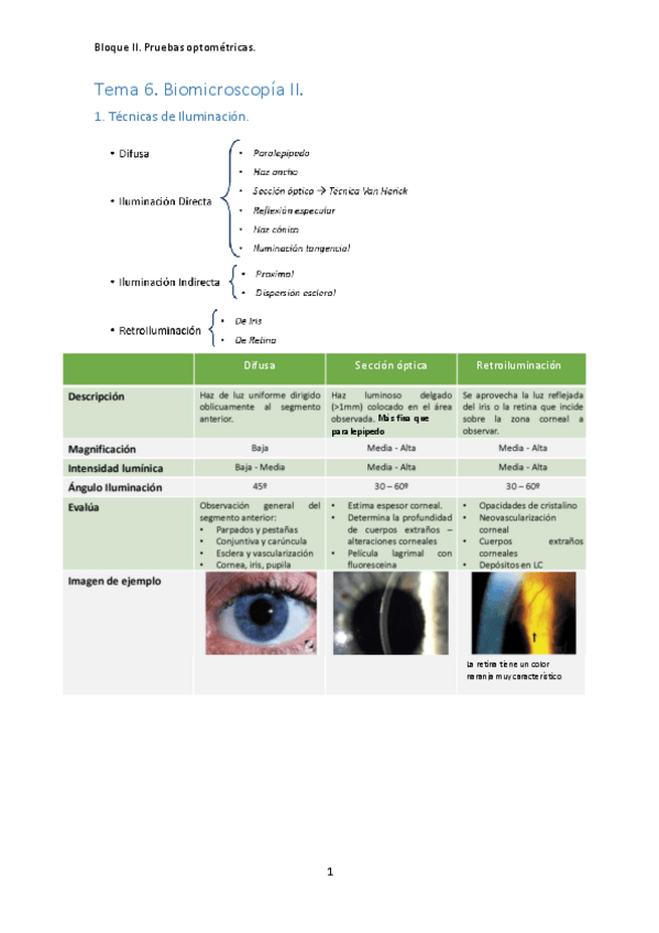 Miniatura del documento T6. Biomicroscopía II.pdf