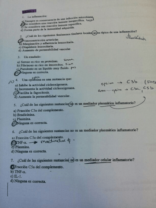 Miniatura del documento IMG_1529.JPG