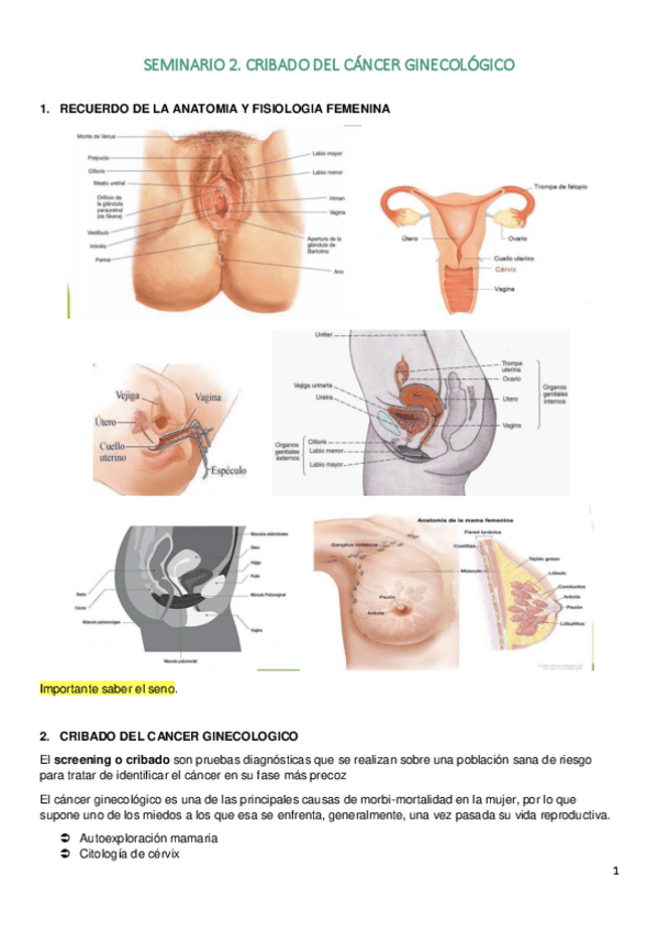 Miniatura del documento SEMINARIO-2.pdf