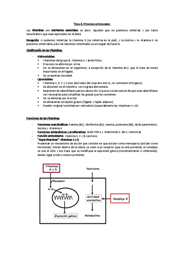 Miniatura del documento Tema 4. Vitaminas Liposolubles.pdf