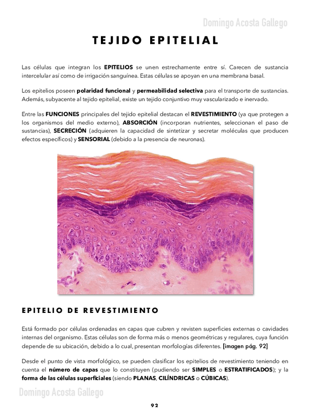 Miniatura del documento 10.pdf