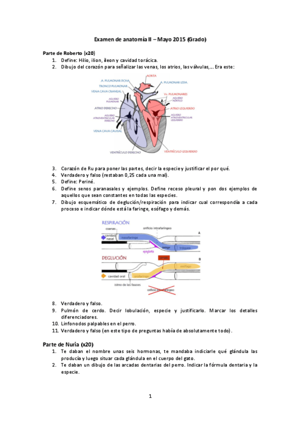 Miniatura del documento Examen-anato-II-mayo-14-15.pdf