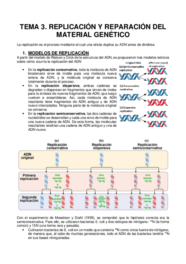 Miniatura del documento 3.REPLICACIÓN Y REPARACIÓN