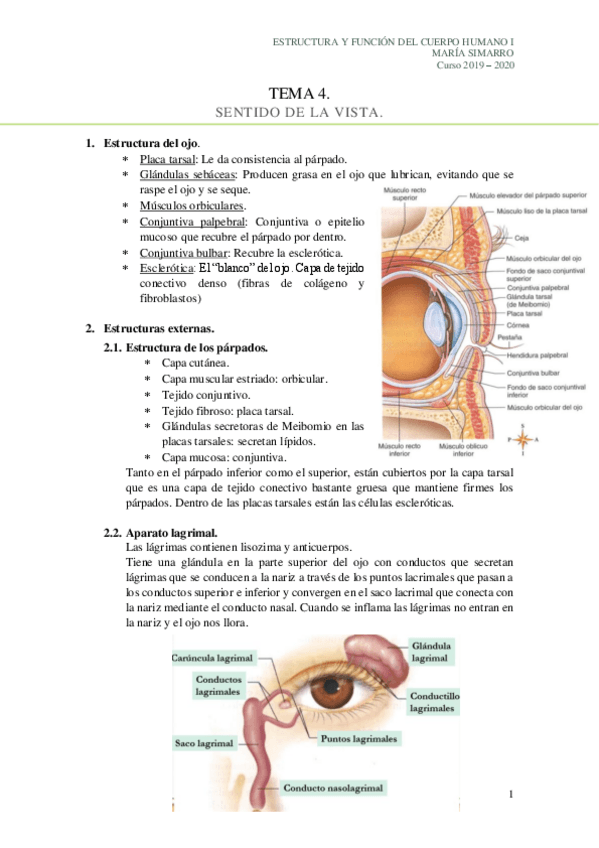 Miniatura del documento Tema-4.pdf