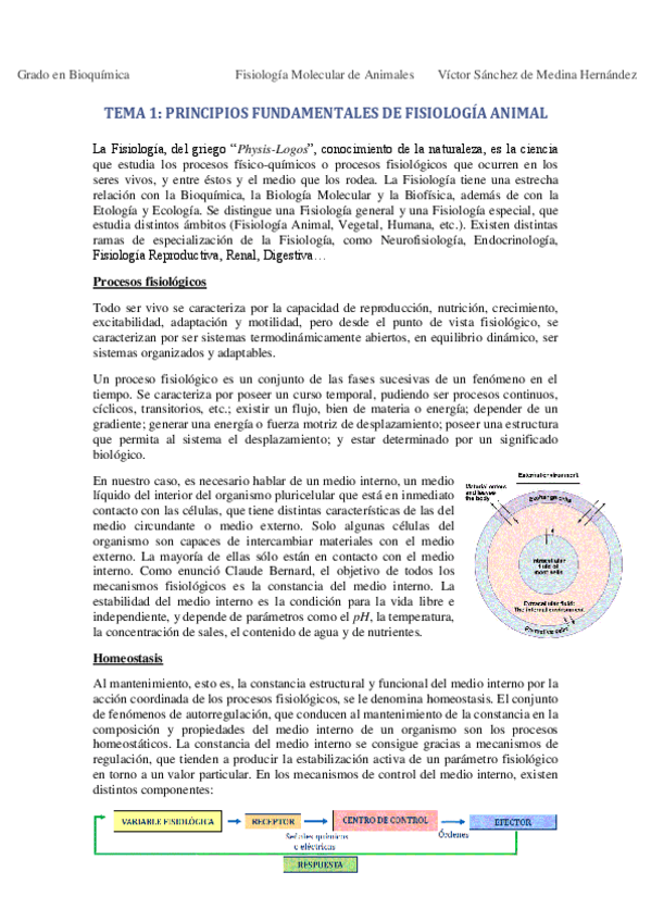 Miniatura del documento Tema 1. Principios fundamentales VSM.pdf