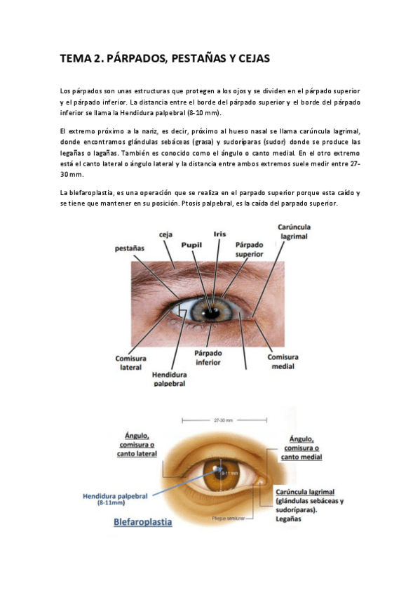 Miniatura del documento TEMA-2.pdf