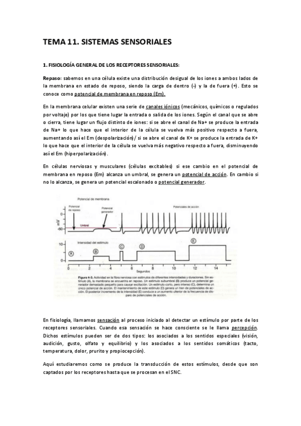Miniatura del documento TEMA-11.pdf