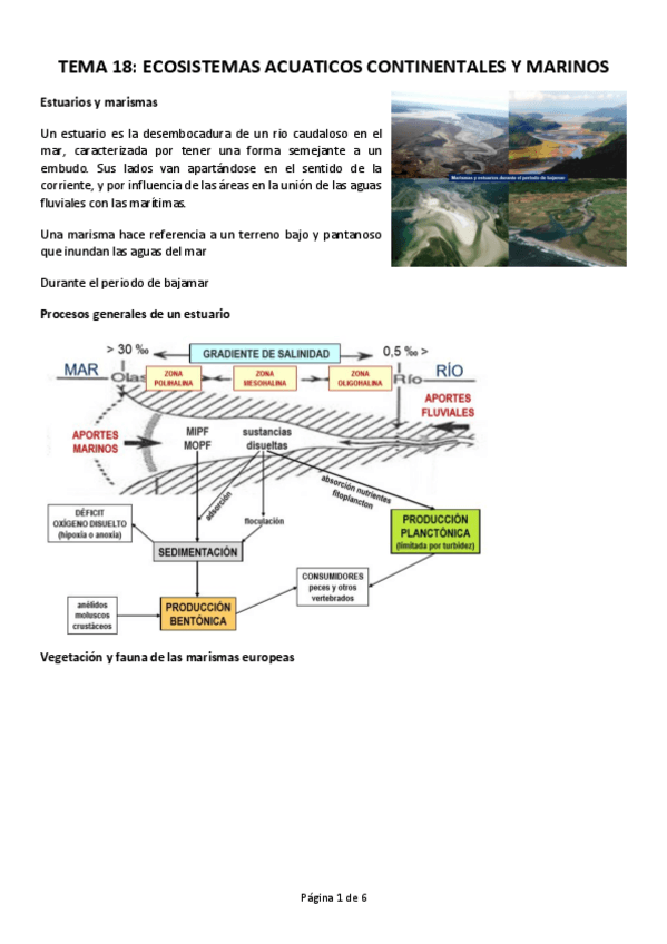 Miniatura del documento TEMA-18.pdf