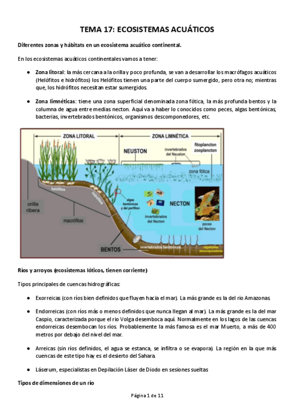 Miniatura del documento TEMA-17.pdf