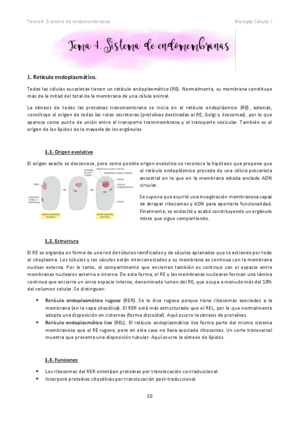Miniatura del documento Tema-4.pdf