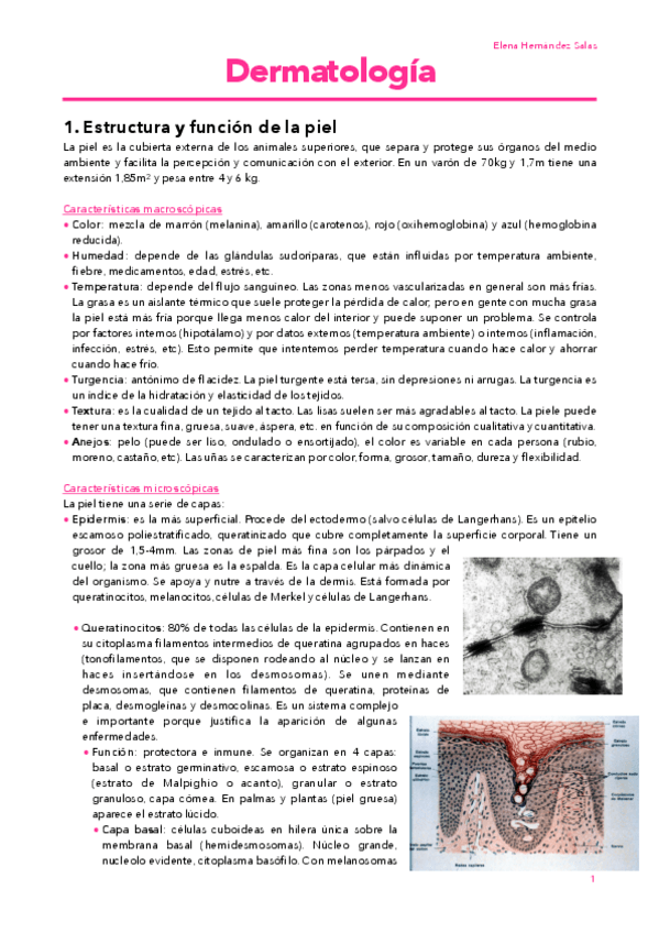 Miniatura del documento 1.pdf