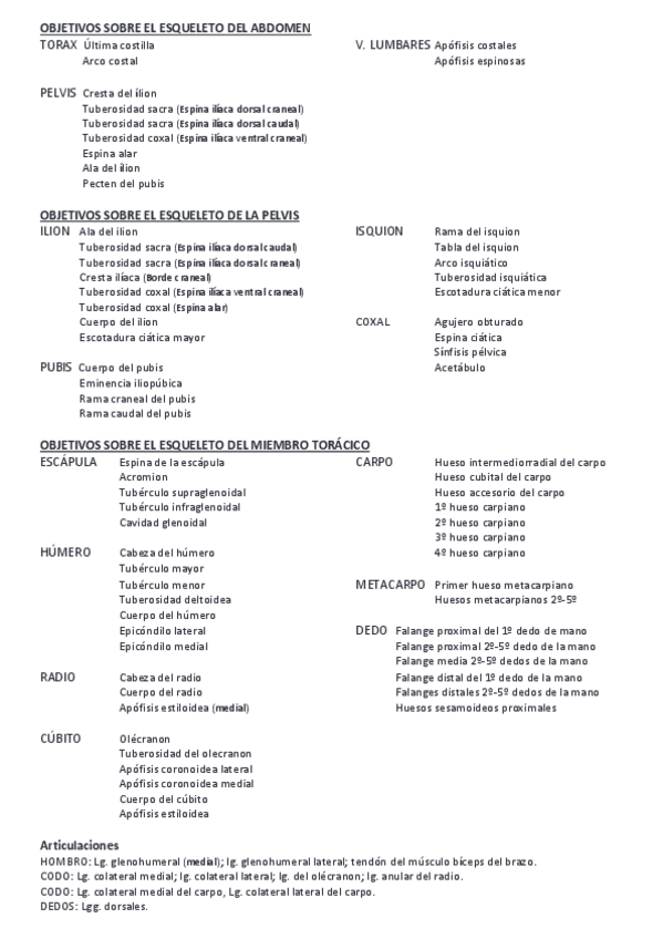 Miniatura del documento OBJETIVOS2.pdf
