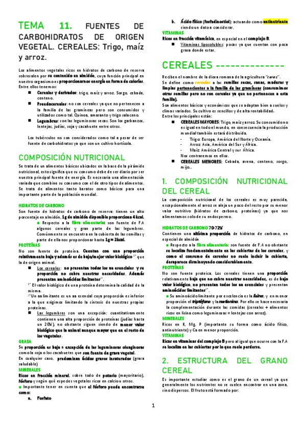 Miniatura del documento T11.pdf