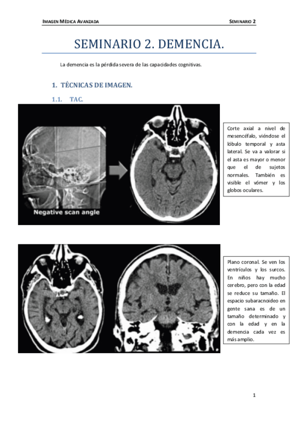 Miniatura del documento Seminario-2.pdf