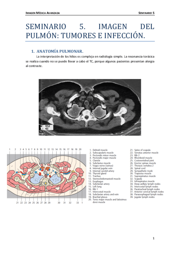 Miniatura del documento Seminario-5.pdf
