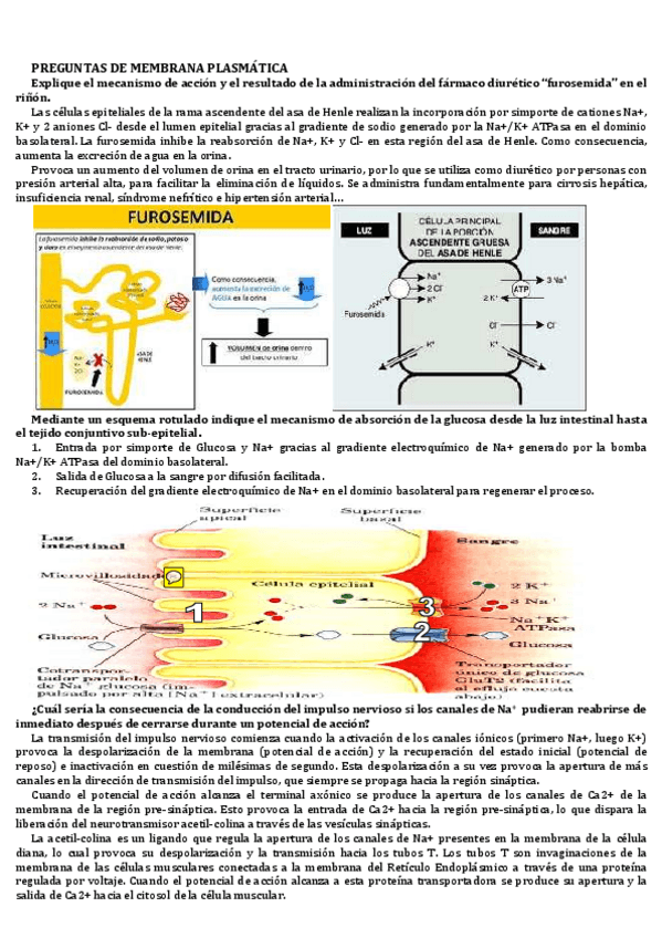 Miniatura del documento PREGUNTAS 1.pdf