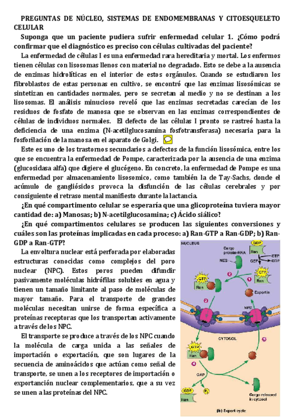 Miniatura del documento PREGUNTAS 2.pdf