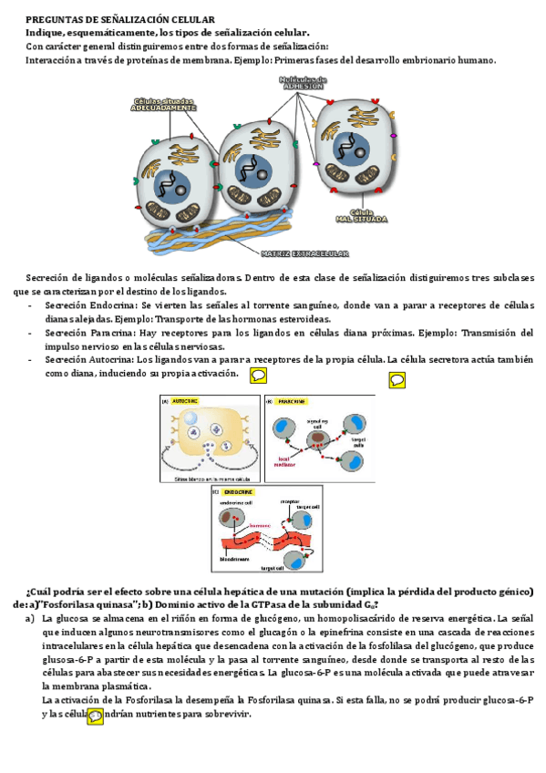 Miniatura del documento PREGUNTAS 3.pdf
