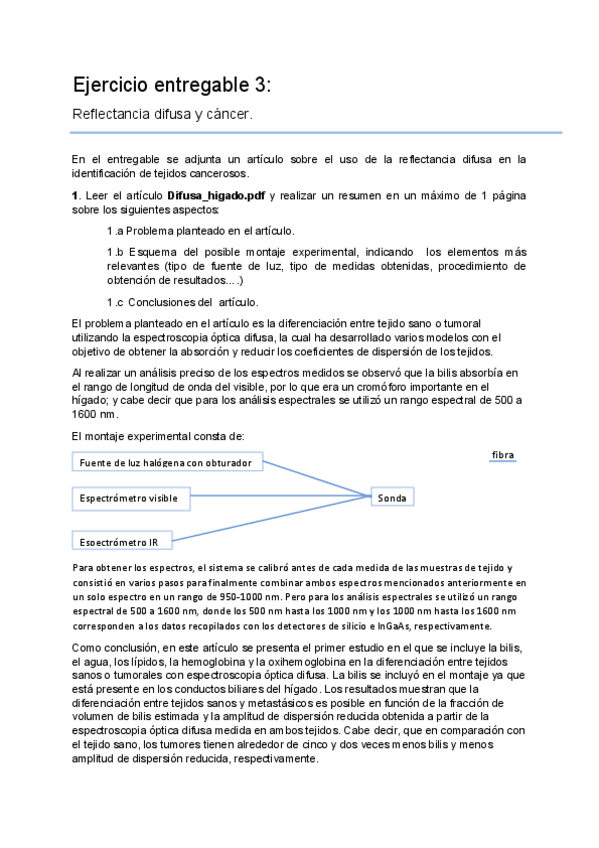 Miniatura del documento ENTEGABLE-3.pdf