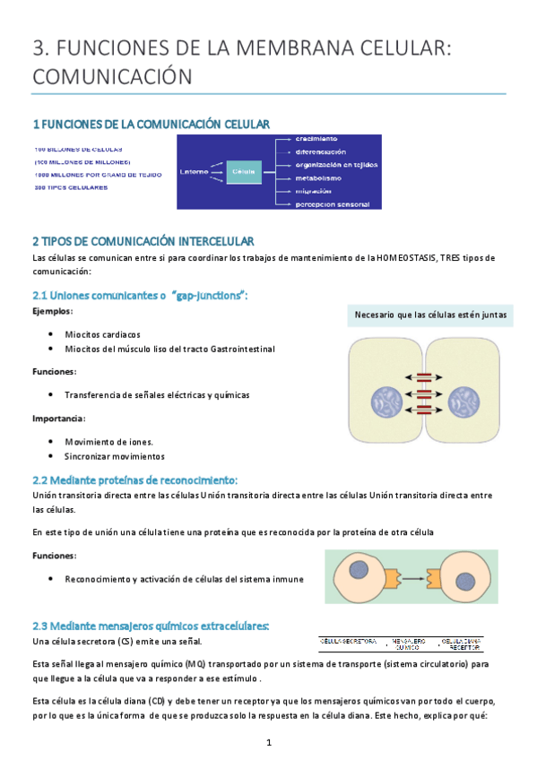 Miniatura del documento tema-3.pdf