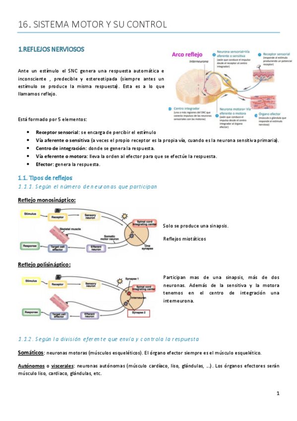 Miniatura del documento Tema-16.pdf