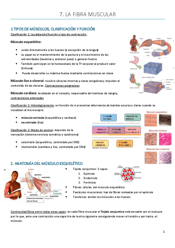 Miniatura del documento Tema-7.pdf