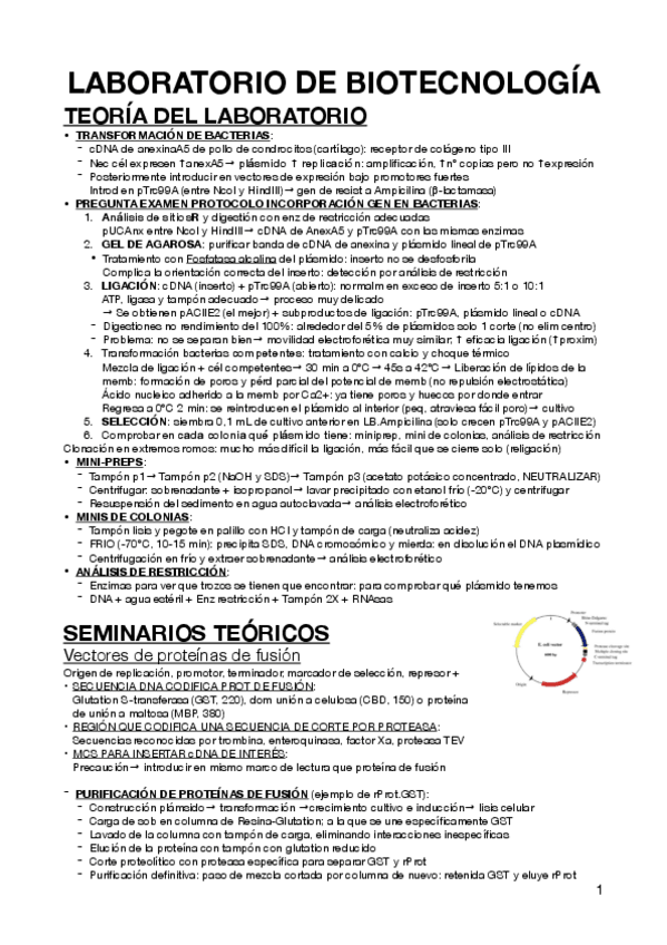 Miniatura del documento APUNTES-LABORATORIO.pdf