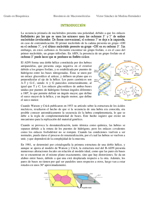 Miniatura del documento Bloque I. Biosíntesis de ADN VSM.pdf
