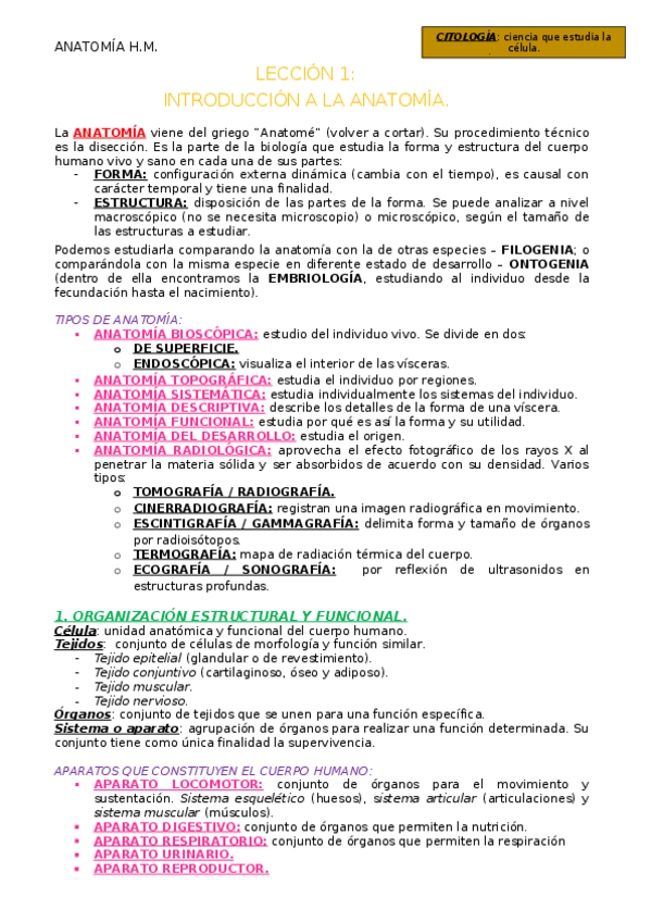 Miniatura del documento Leccion-1.docx