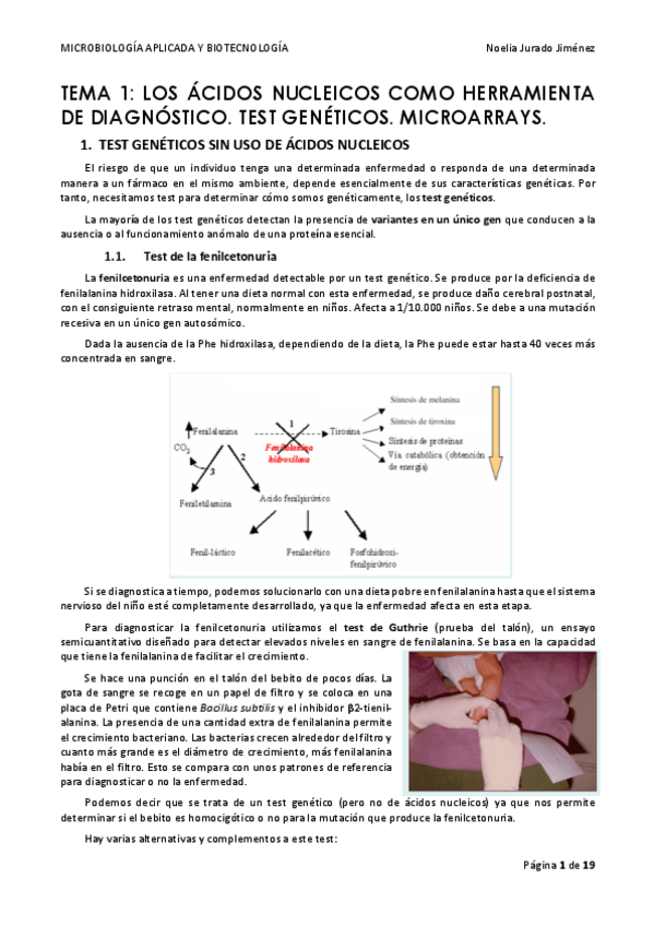 Miniatura del documento TEMA-1.pdf