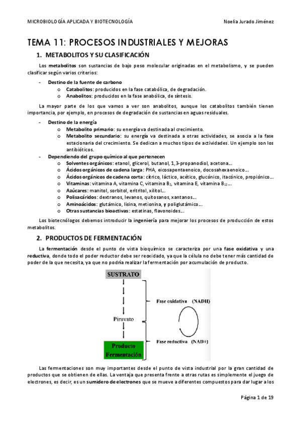 Miniatura del documento TEMA-11.pdf