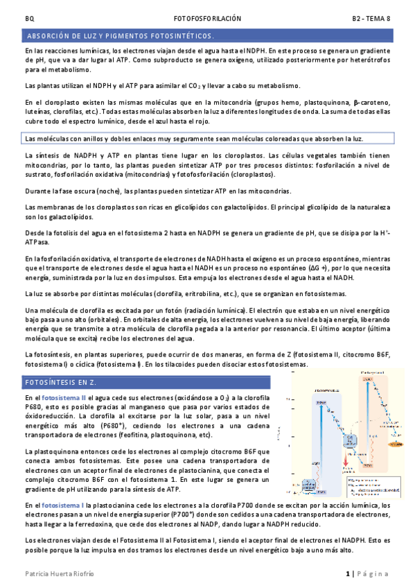 Miniatura del documento T8.pdf