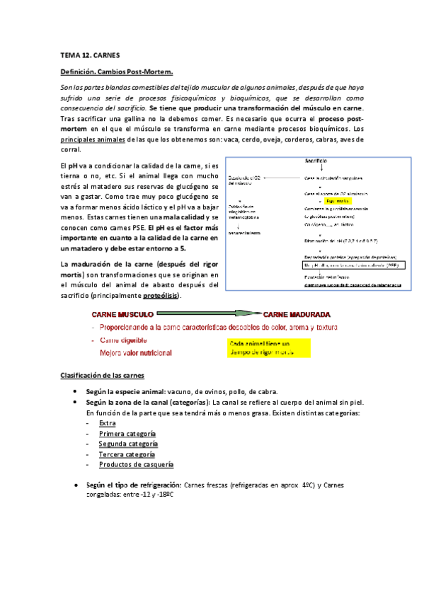 Miniatura del documento Resumen-tema-12.pdf