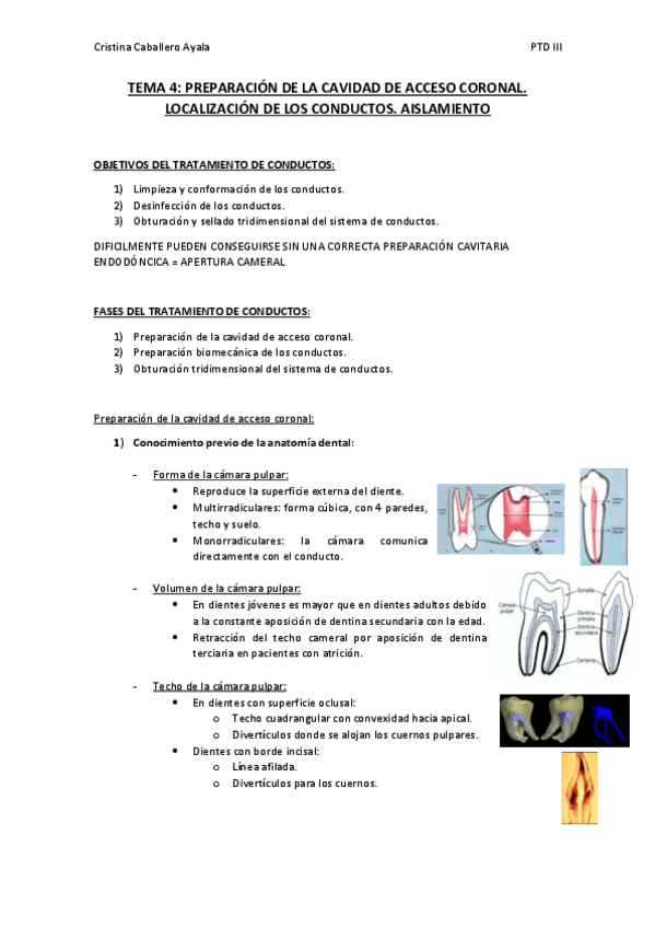 Miniatura del documento TEMA-4.pdf