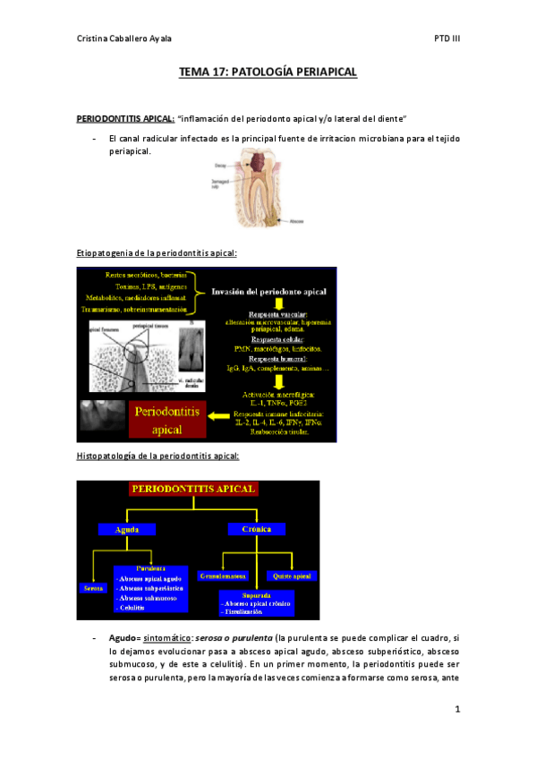 Miniatura del documento TEMA-17-OK.pdf