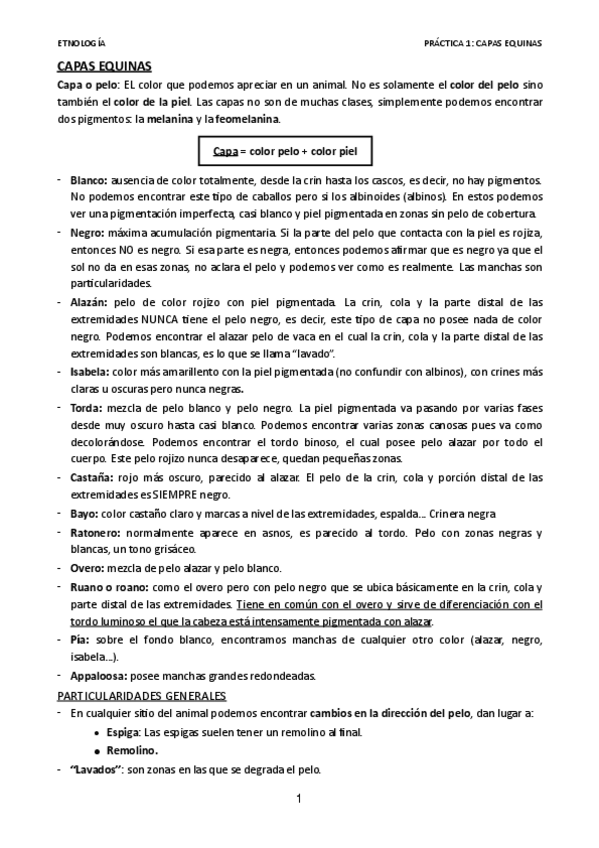 Miniatura del documento Practica-1.pdf