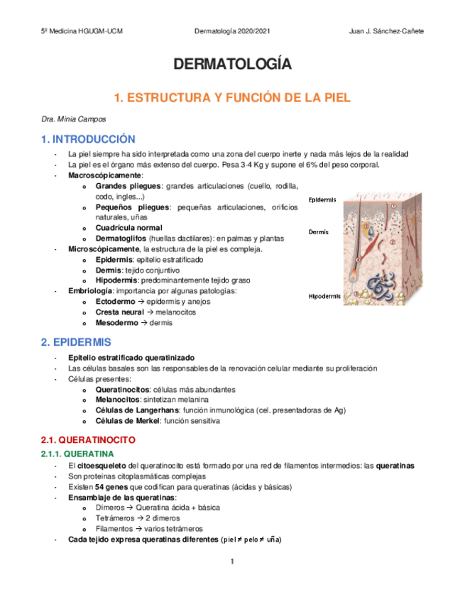 Miniatura del documento 1-ESTRUCTURA-Y-FUNCION-DE-LA-PIEL.pdf