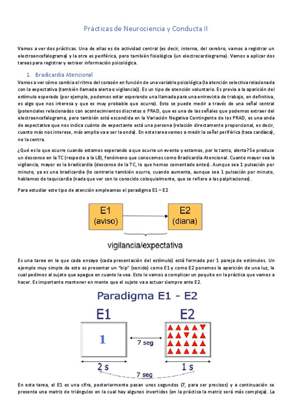 Miniatura del documento Practicas-de-Neurociencia-y-Conducta-II.pdf